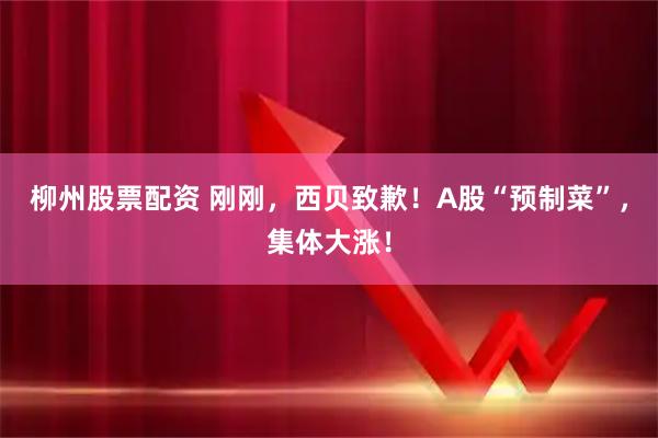 柳州股票配资 刚刚，西贝致歉！A股“预制菜”，集体大涨！